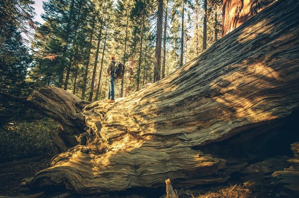 Quels sont les meilleurs itinéraires pour explorer les parcs nationaux de Patagonie, Argentine?